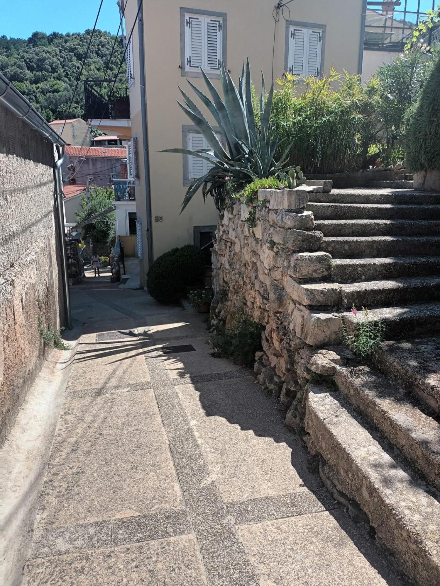 Apartment Desanti Valun Dış mekan fotoğraf
